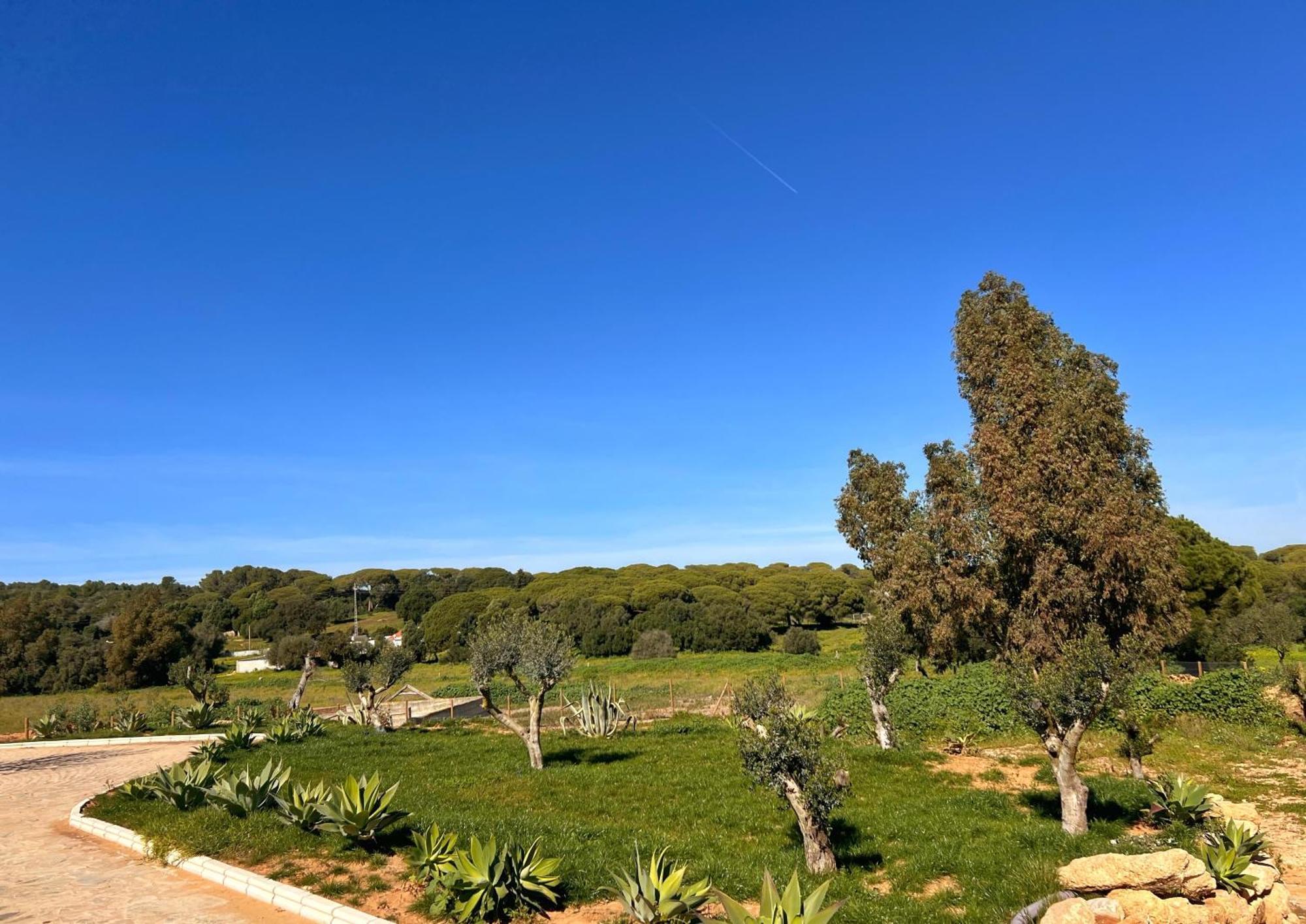 Hacienda La Yerbabuena Villa Cádiz Buitenkant foto